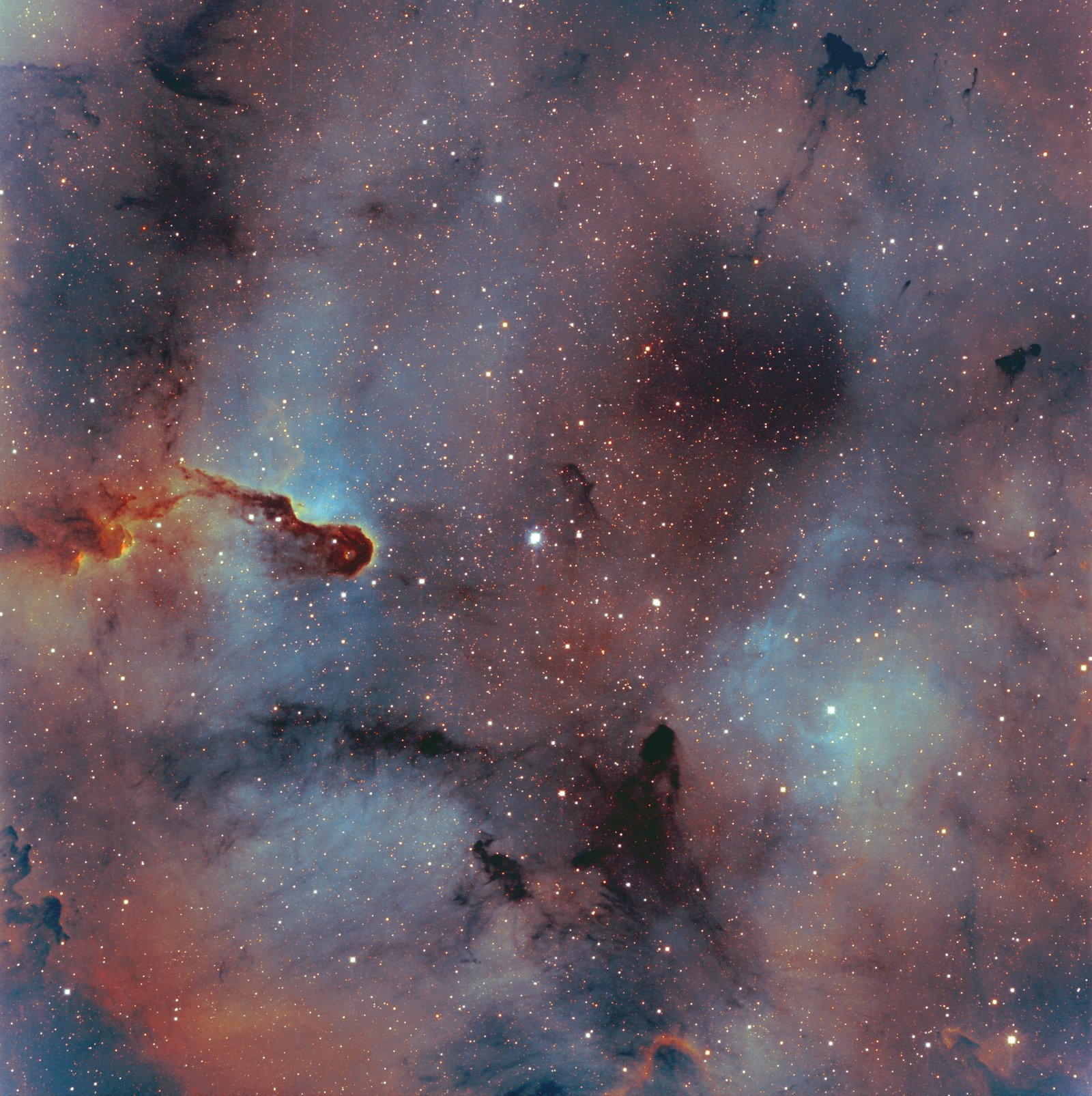 IC 1396
