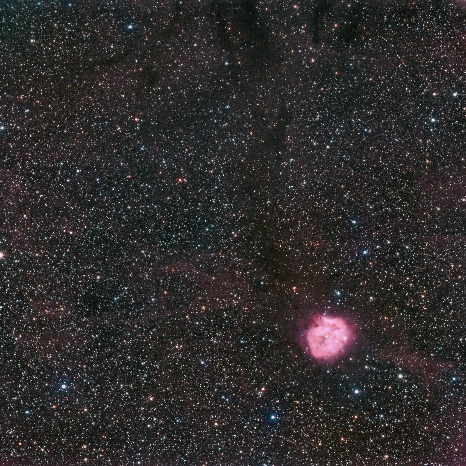 IC 5146 — Nébuleuse du Cocon