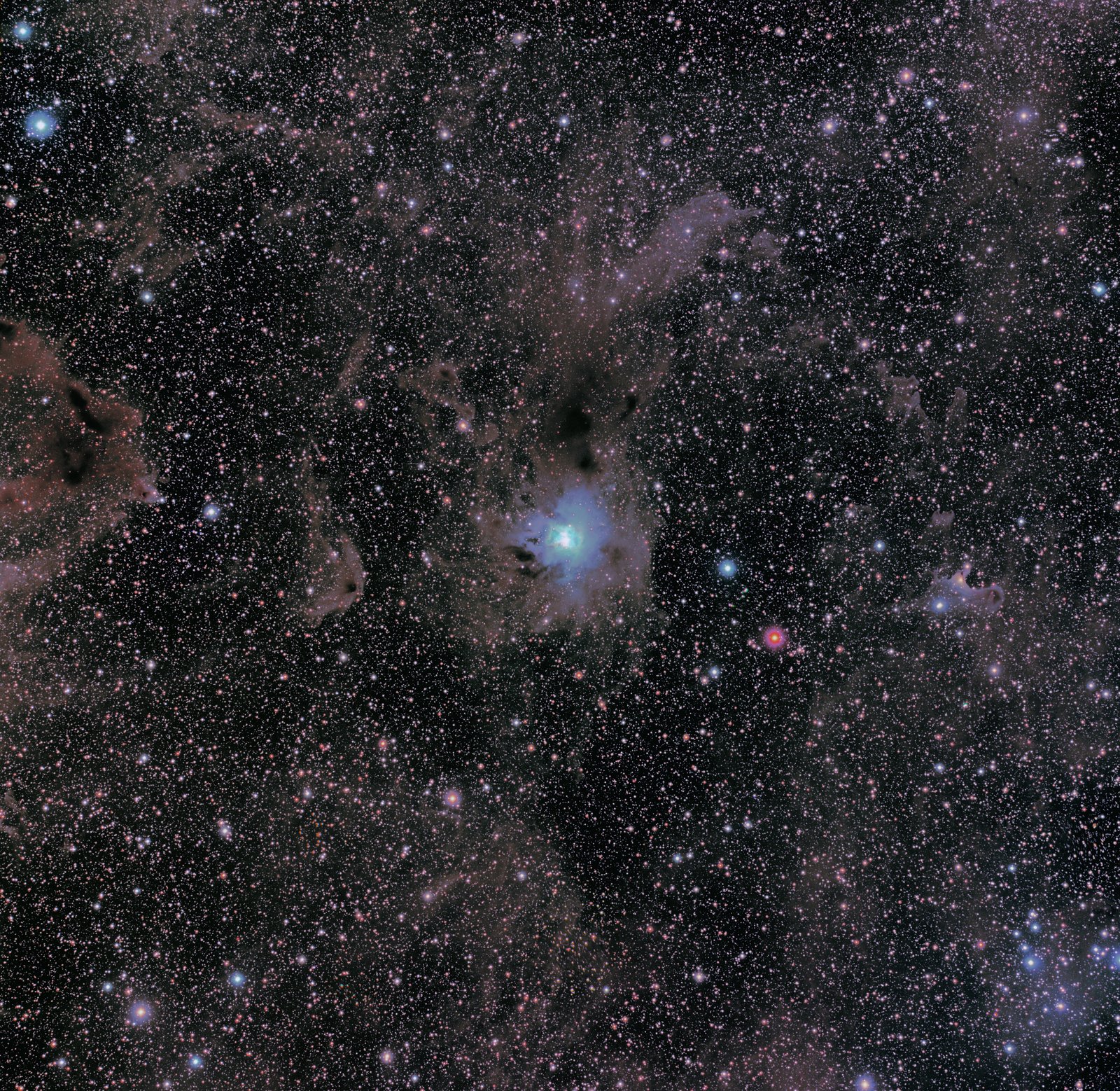 NGC 7023 — Nébuleuse de l’Iris