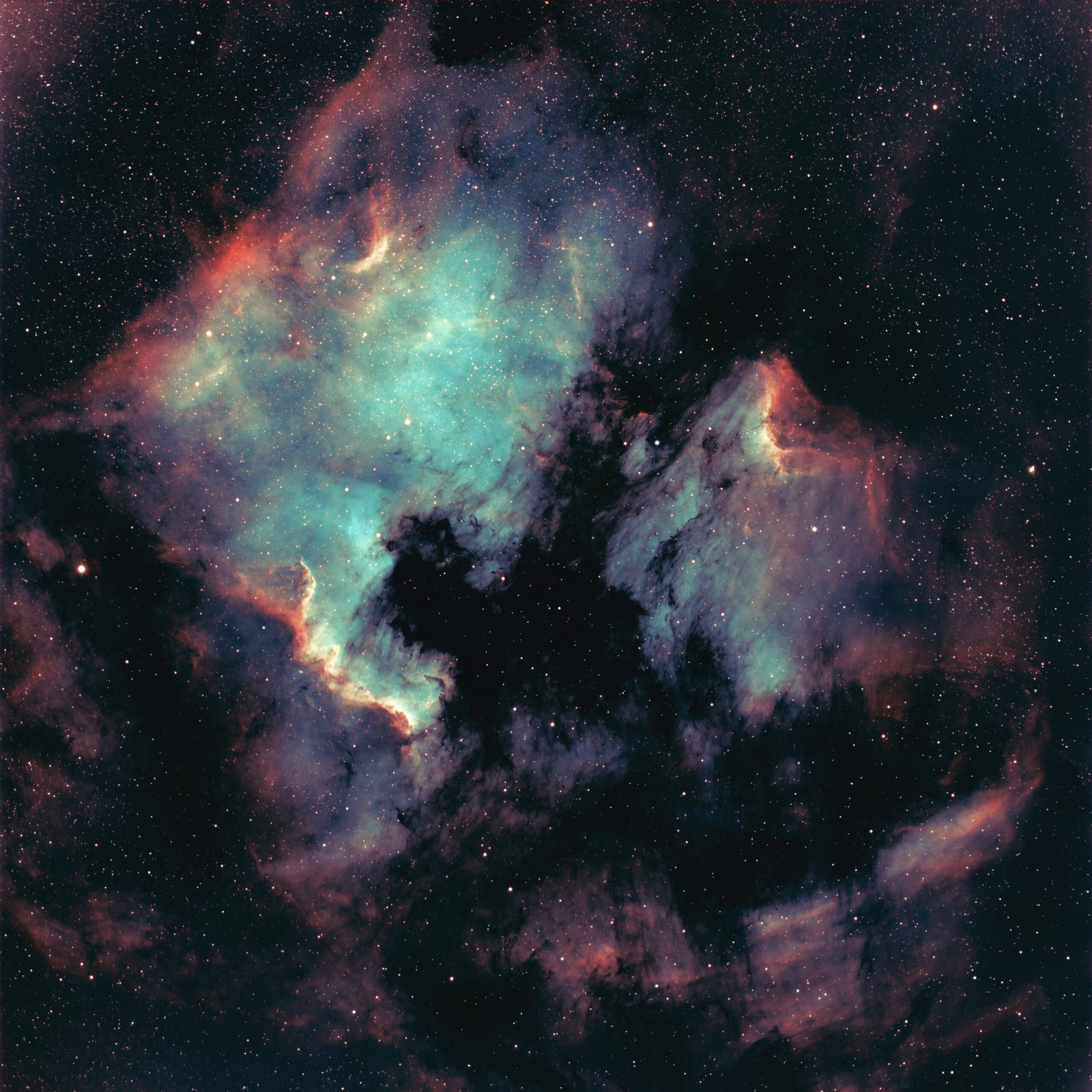 NGC 7000 — Nébuleuse de l’Amérique du Nord