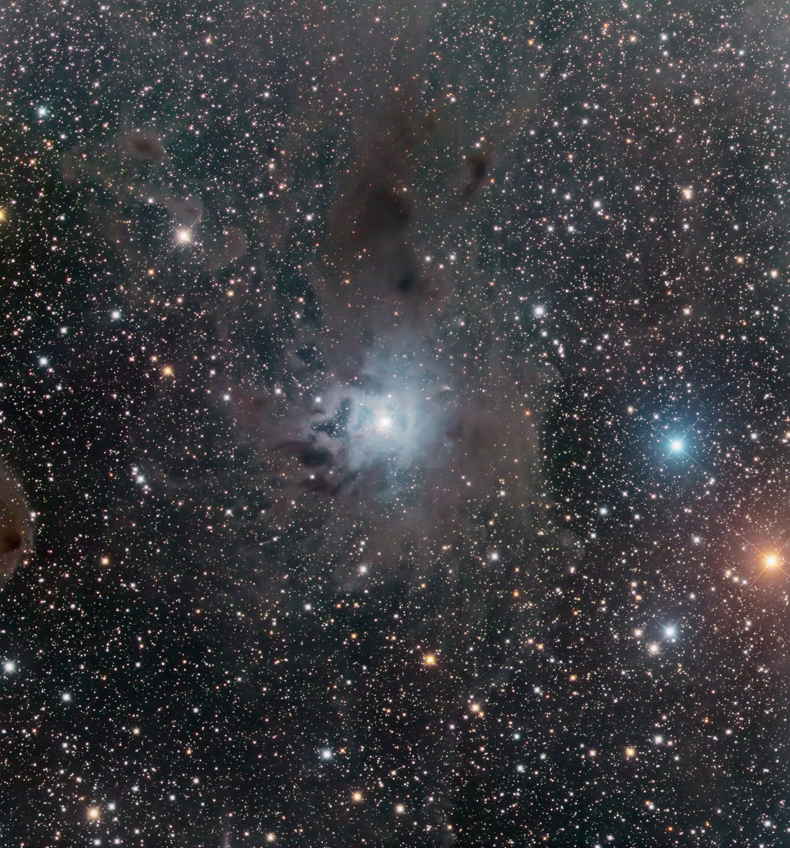 NGC 7023 — Nébuleuse de l’Iris