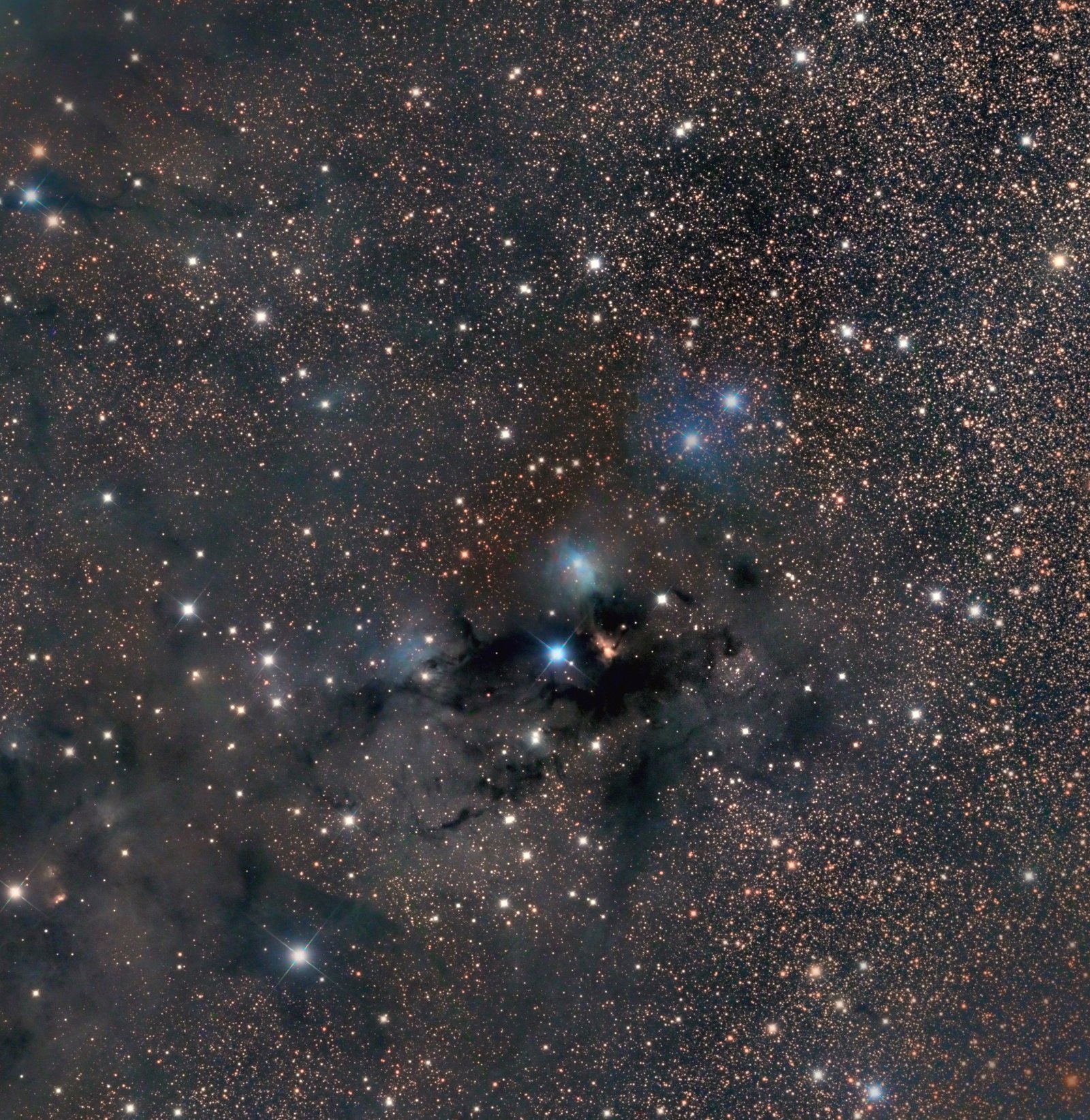 VdB 123