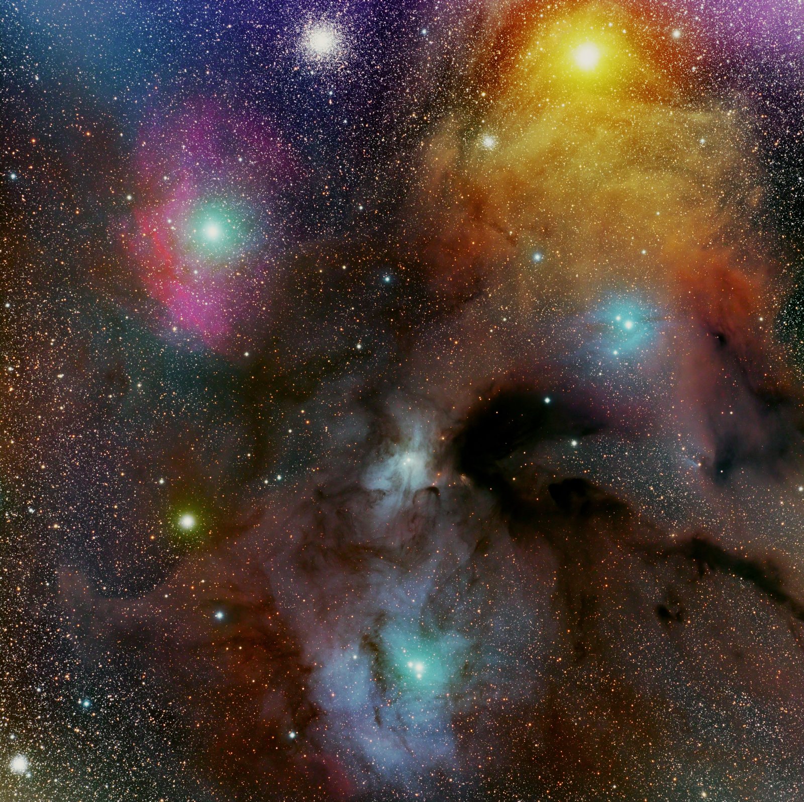 Rho Ophiuchi